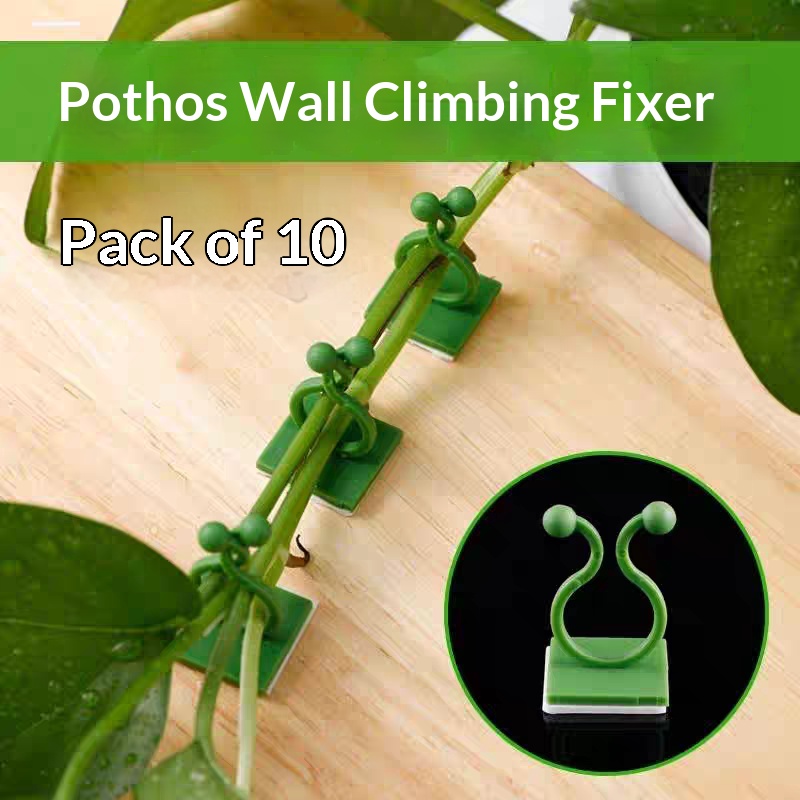 Vine Climbing Plastic - Kendinden Yapışkanlı Bitki Tırmanma Duvarı Bağlantı