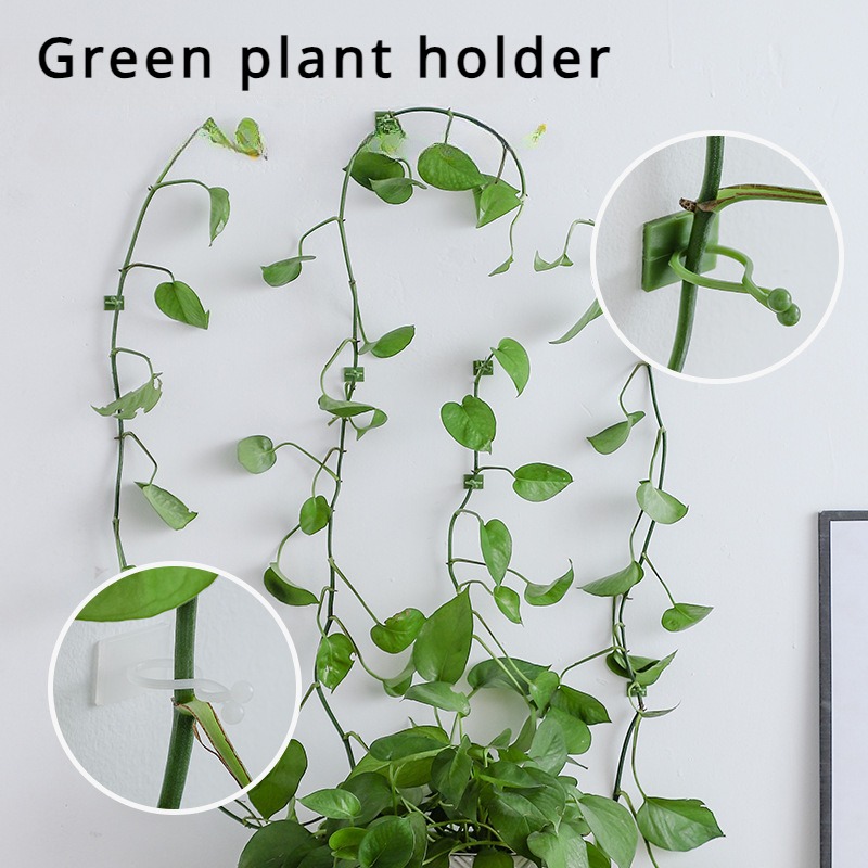 10 adet bitki duvar sabitleme  - Vine Climbing Plastic incelemesi ve fiyatı