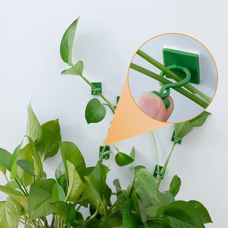 Kendinden Yapışkanlı Bitki Tır - Vine Climbing Plastic incelemesi ve fiyatı