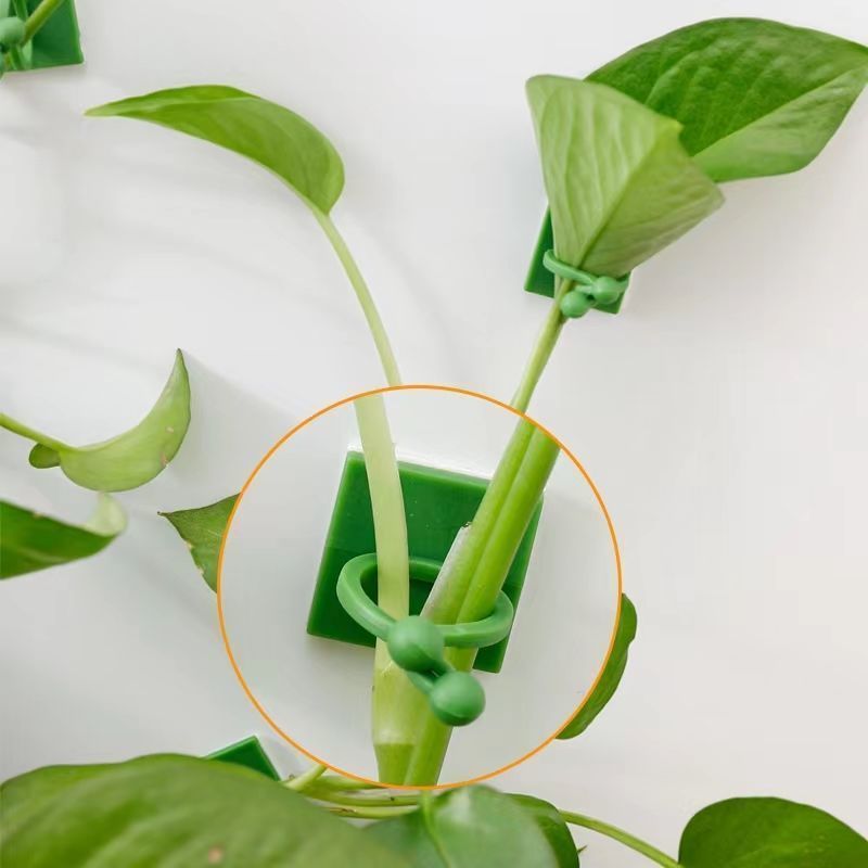 Kendinden Yapışkanlı Bitki Tır - Vine Climbing Plastic incelemesi ve fiyatı