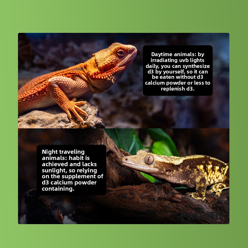Reptizoo Sürüngen Kalsiyum Toz - Calcium Powder Reptile incelemesi ve fiyatı