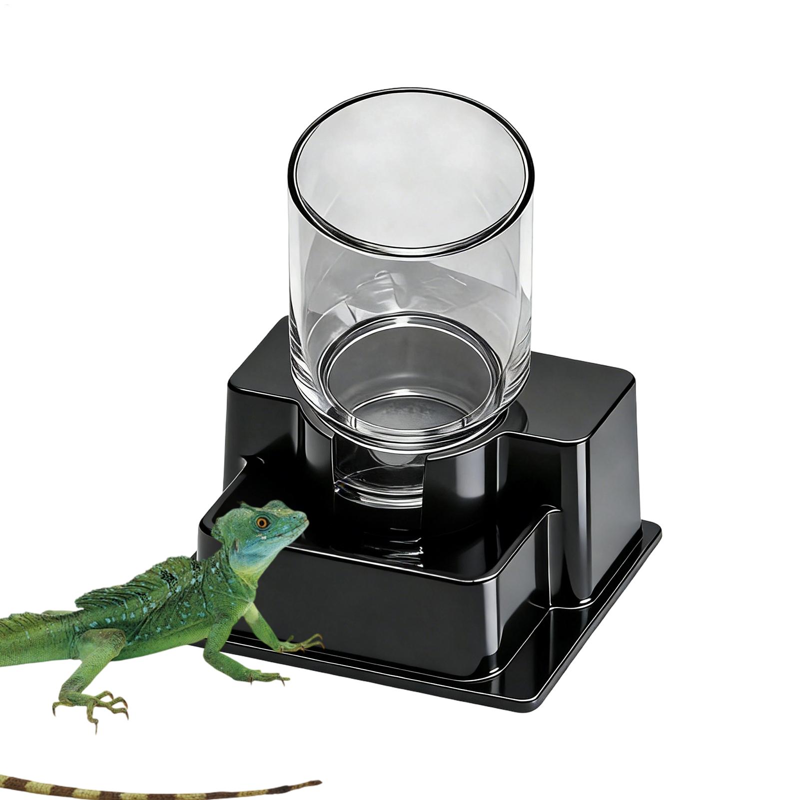 Sakallı Ejder Su Pınarı Sürüng - Water Dish Reptile incelemesi ve fiyatı