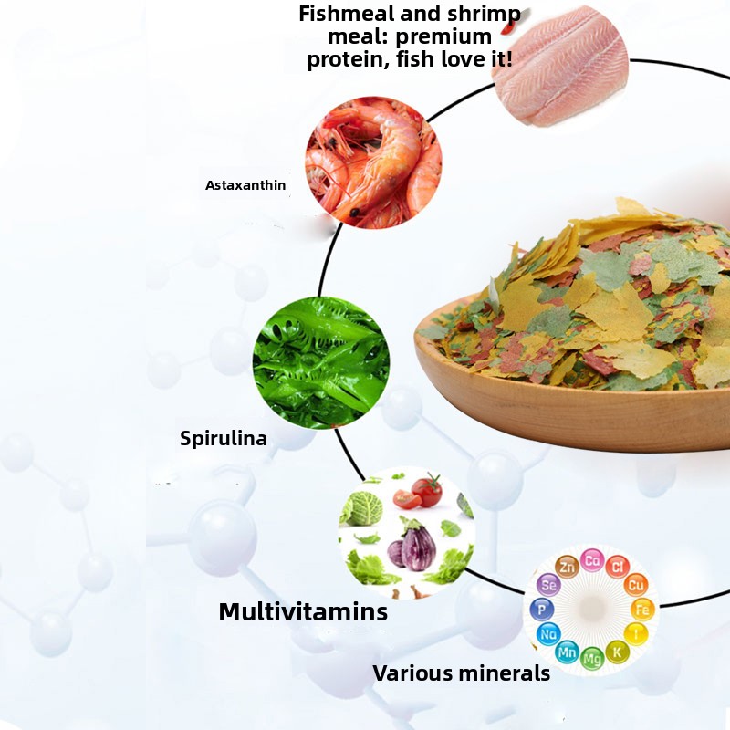 Küçük Tropikal Balıklar İçin P - Tetra Food Betta Flakes incelemesi ve fiyatı