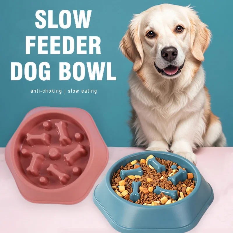1 Adet Yavaş Besleyici Köpek M - Royal Canin Food Medium incelemesi ve fiyatı
